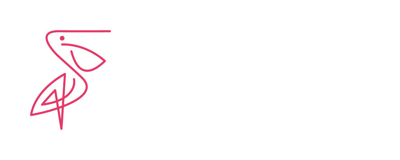 WHITE PELICAN